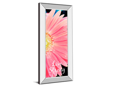 Classy 1618 18" Wide Mirror Frame Wall Art