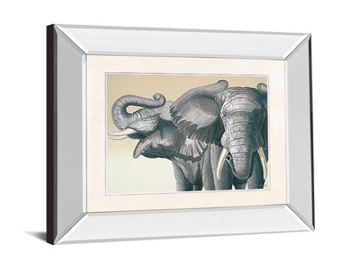 Classy 116 26" Wide Mirror Frame Wall Art