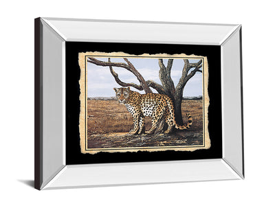 Classy 206 26" Wide Mirror Frame Wall Art