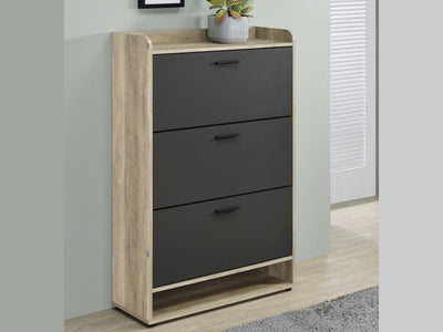 Denia 31.5" Wide Shoe Cabinet