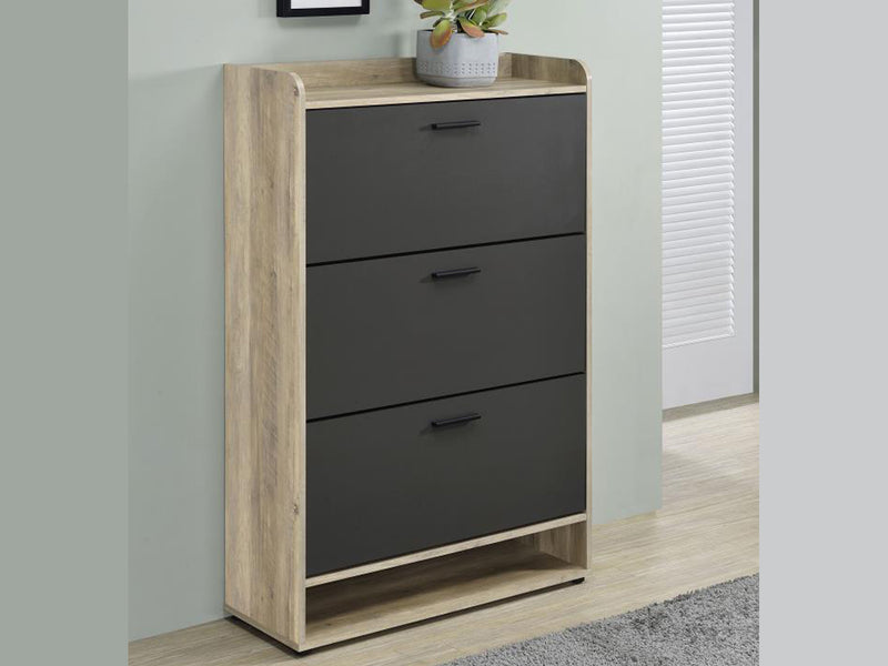 Denia 31.5" Wide Shoe Cabinet