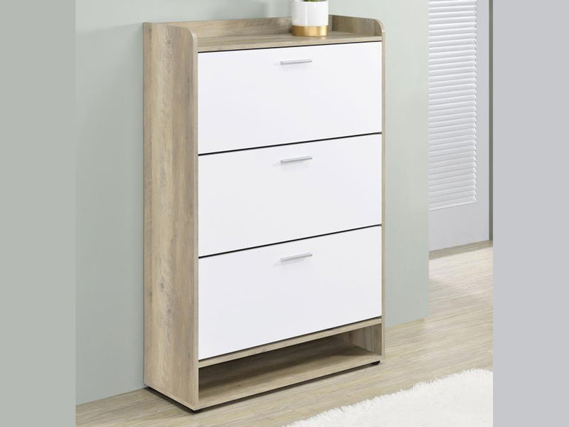 Denia 31.5" Wide Shoe Cabinet