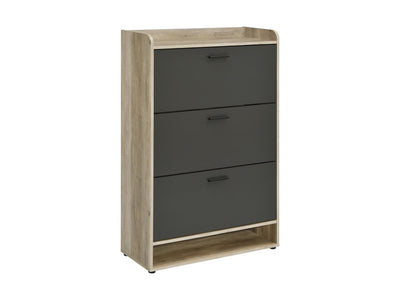 Denia 31.5" Wide Shoe Cabinet