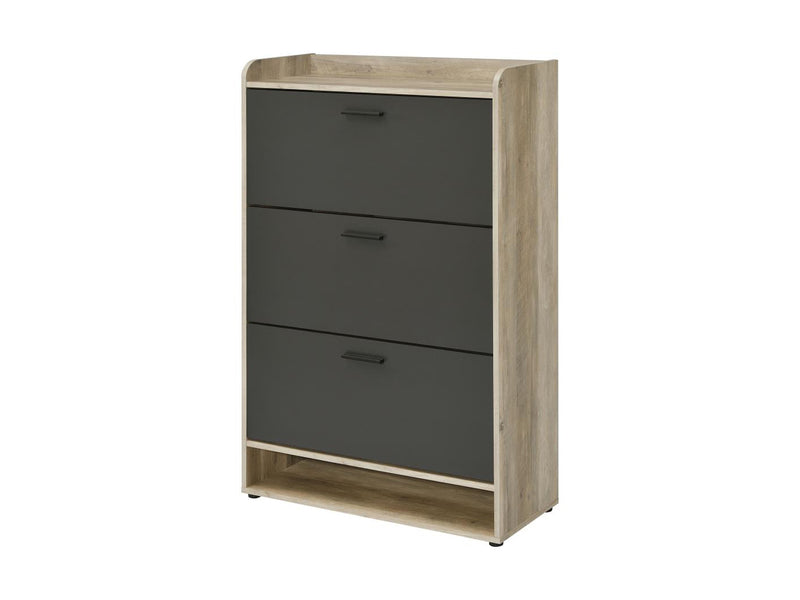 Denia 31.5" Wide Shoe Cabinet