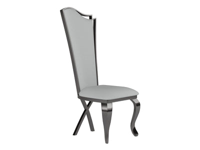 Nadia 21" Wide Dining Chair (Set of 2)