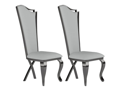 Nadia 21" Wide Dining Chair (Set of 2)